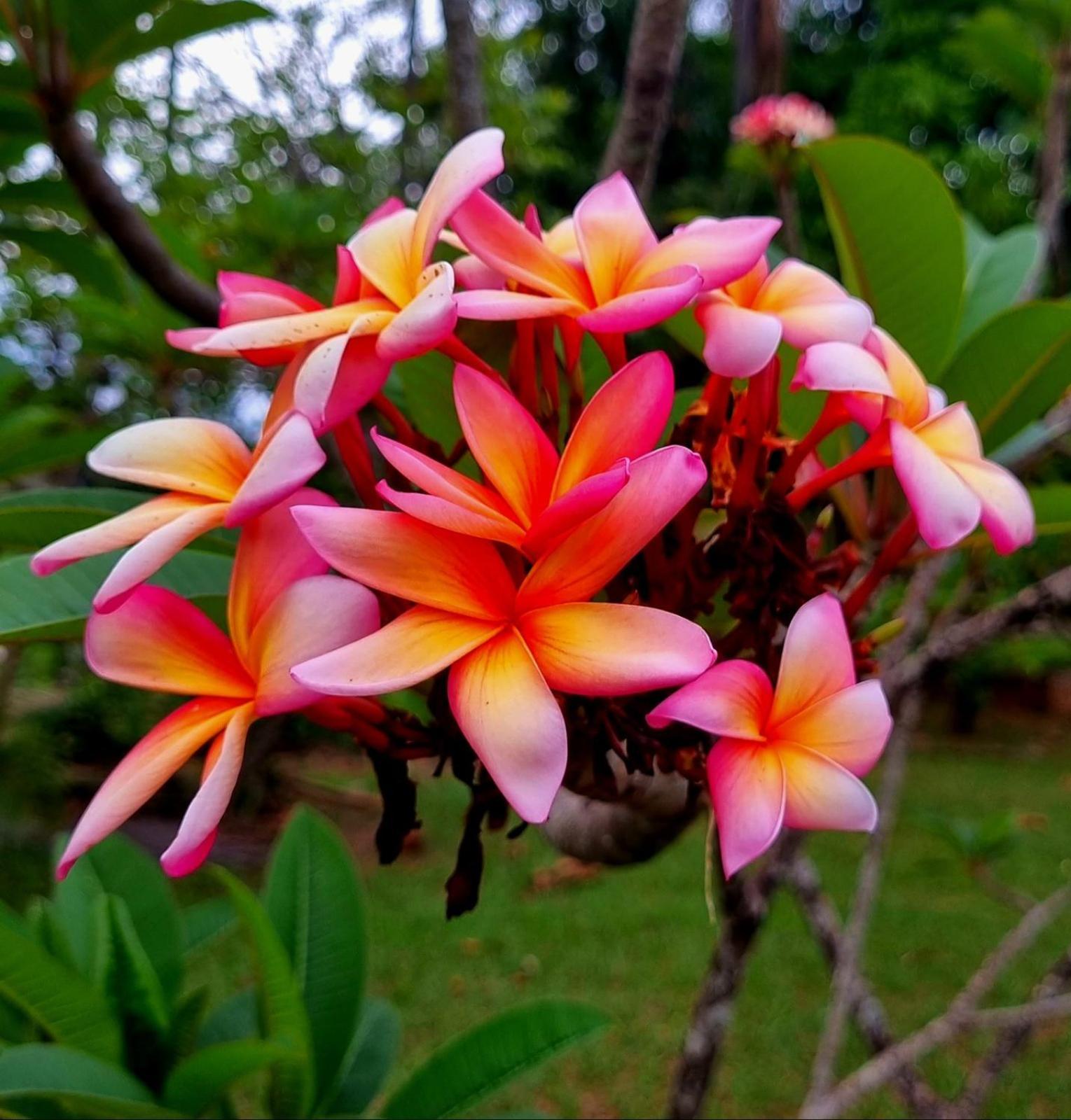 Amanduarte Brasilia 아파트 외부 사진